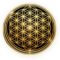 logo web